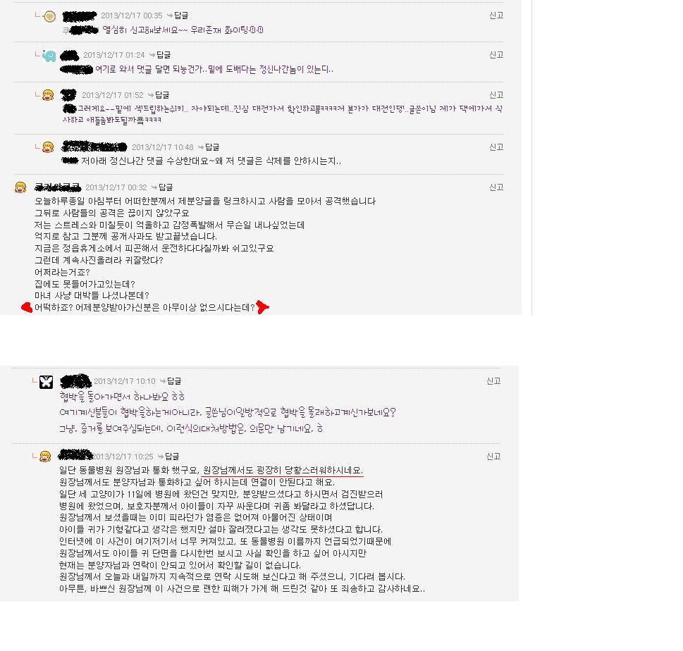 고양이 귀를 잘라 스코티쉬폴드라고 속이고 분양하는 사람이 있네요..