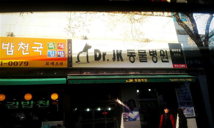 의심가는 동물병원