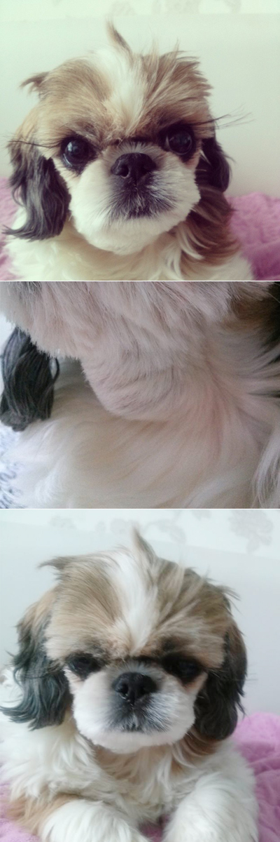 치주염으로 인한 침샘염으로 목에 혹이 났어요(조언구함)