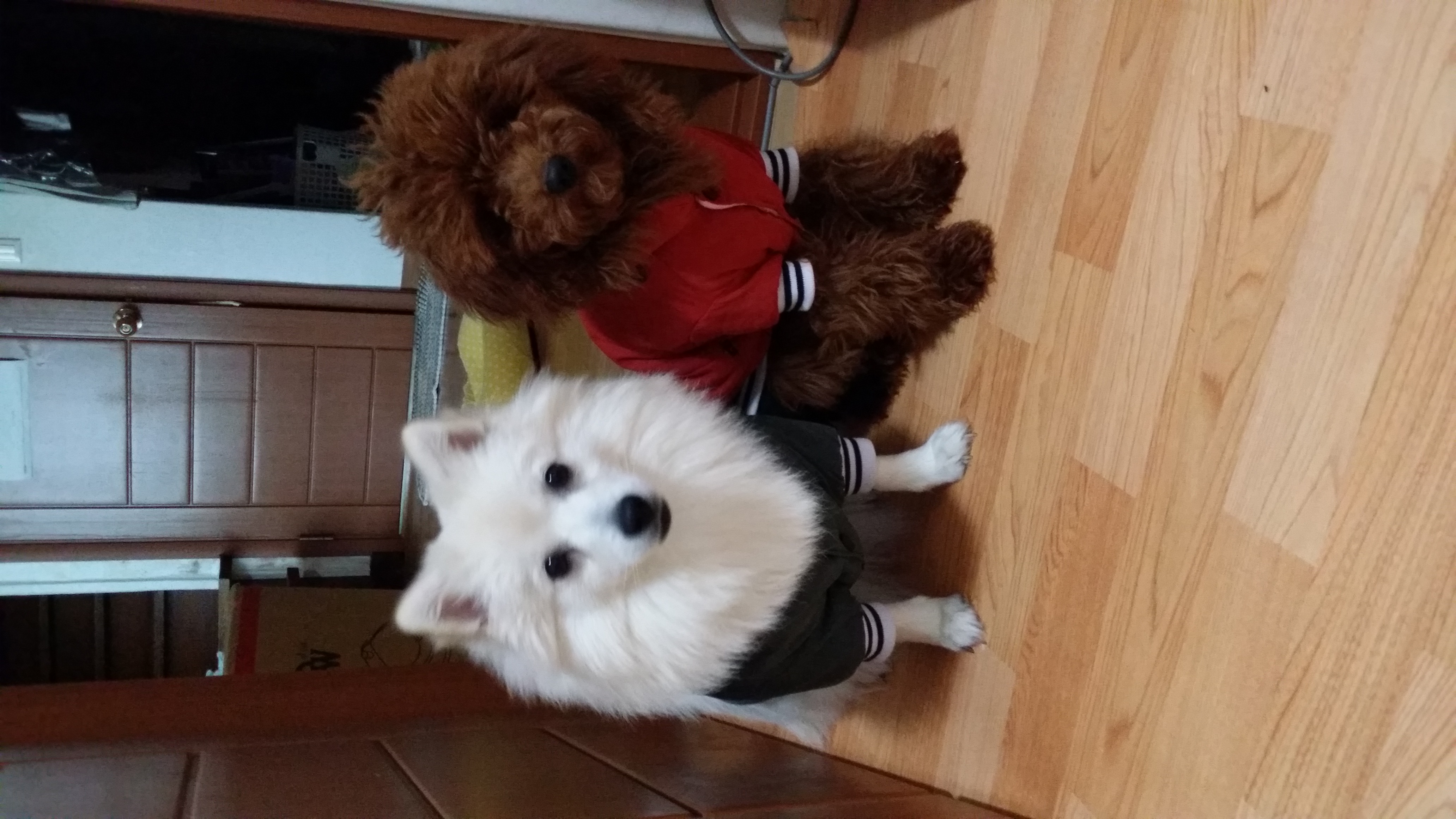 안녕하세요 저 궁금한게있어서..
