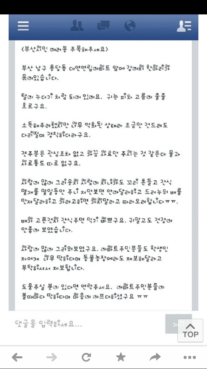 귀에서 피고름이 나는데도 방치된 코카아이 도울방법없을까요?