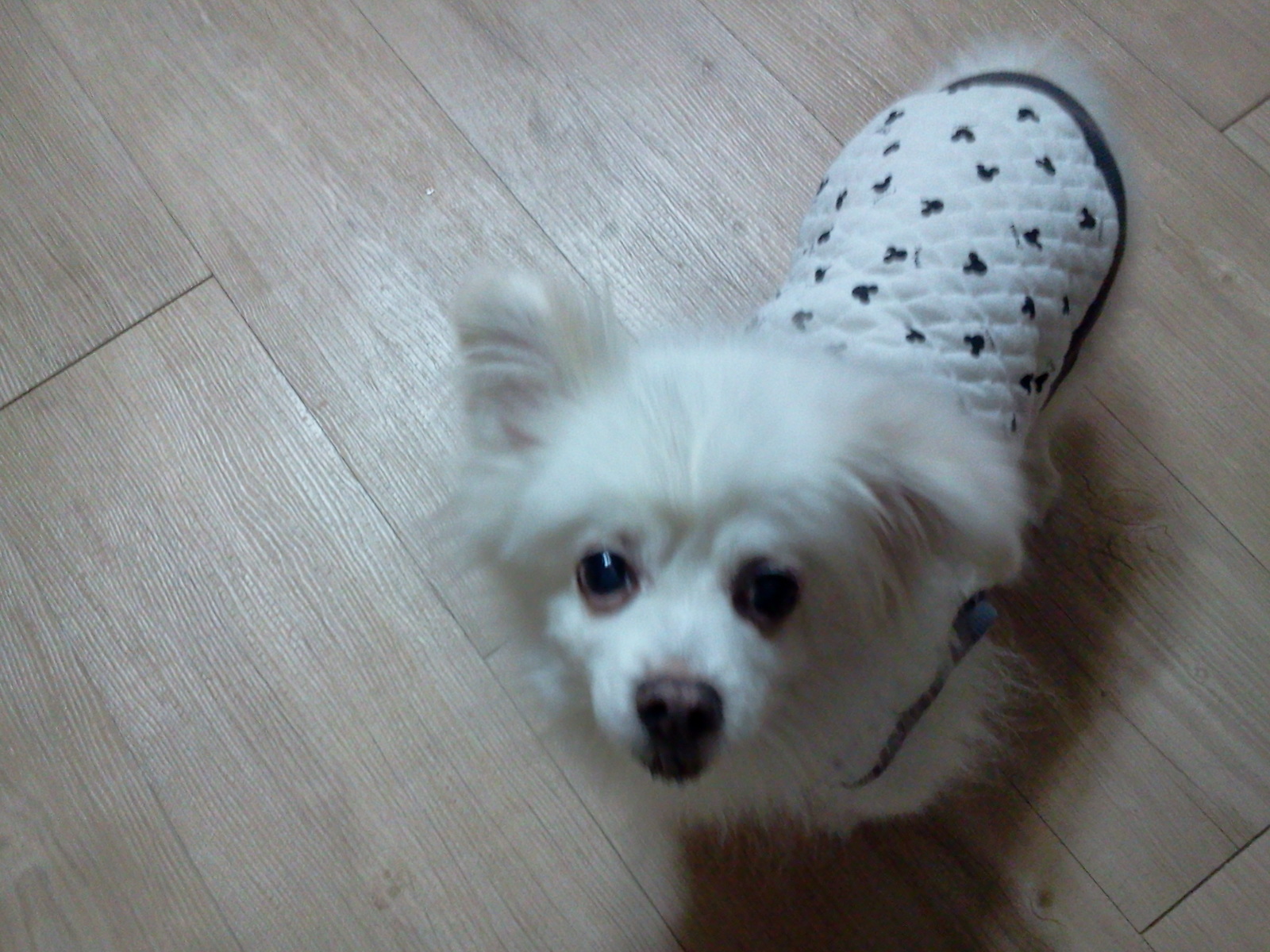 안녕하세요^^. 오랜만입니당~~