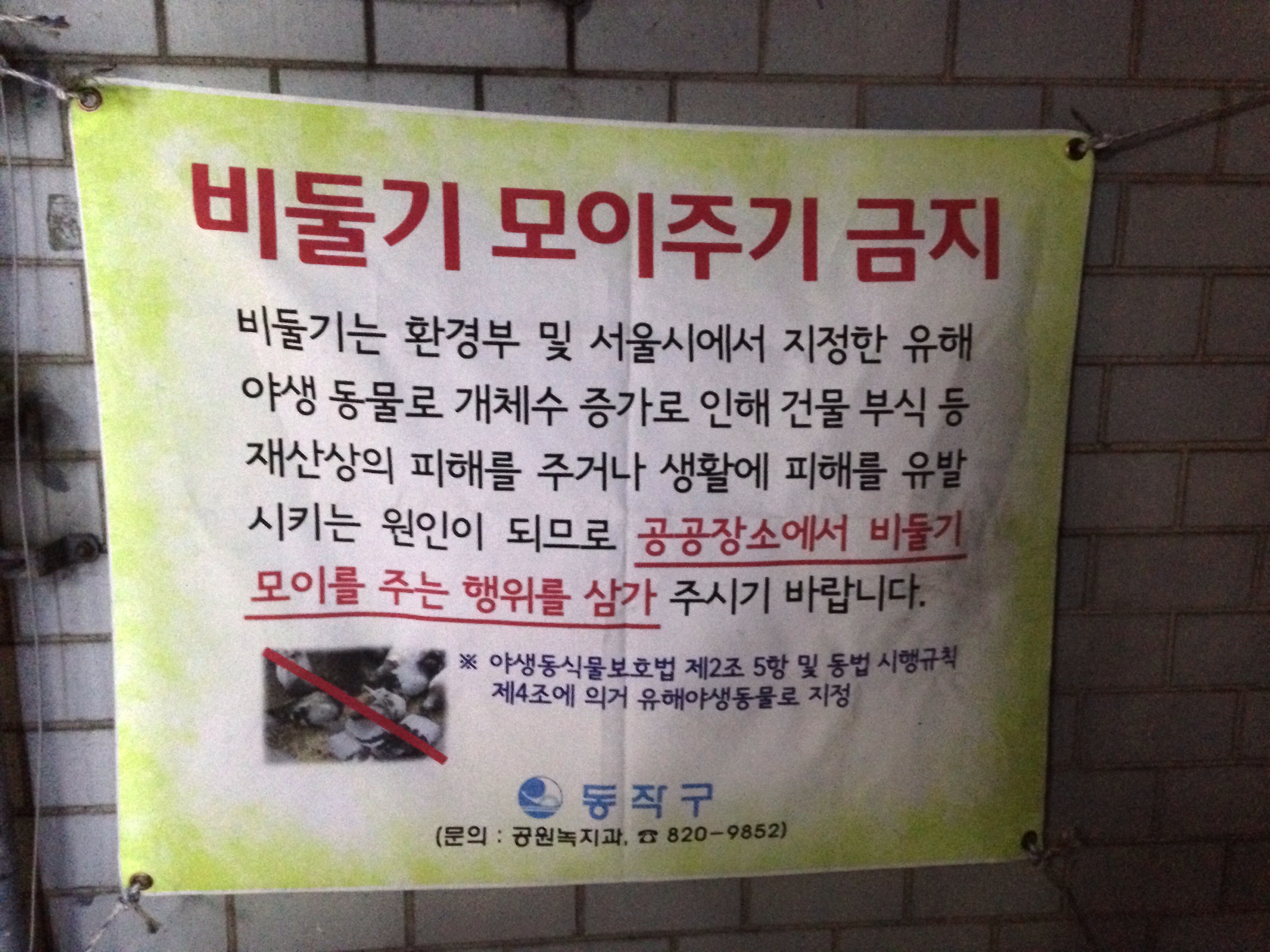 야생동식물보호법 문의요
