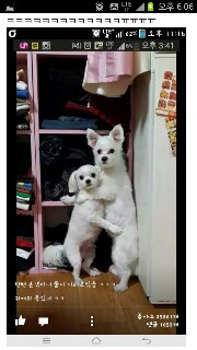 해피  바이러스