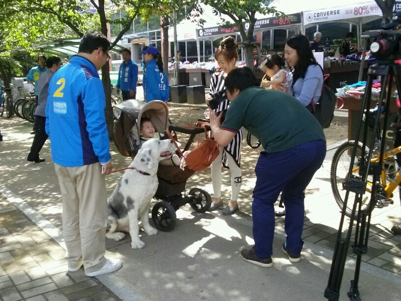 지지를 부탁드립니다.