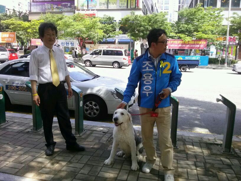 지지를 부탁드립니다.