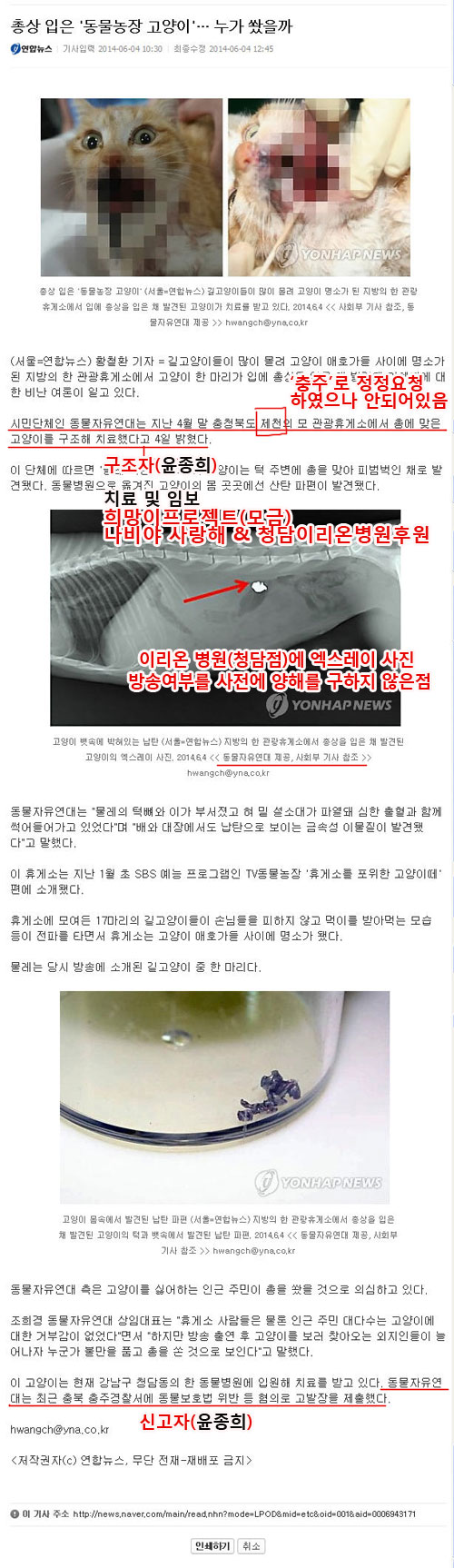 총맞은 고양이 오보에 대한 유감