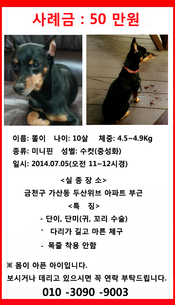 질문드립니다. 강아지 분실 관련..