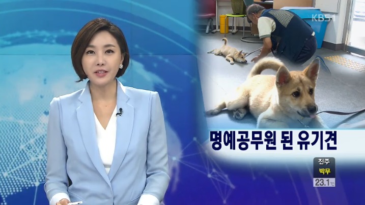 길음2동의 명예공무견 기르미^^