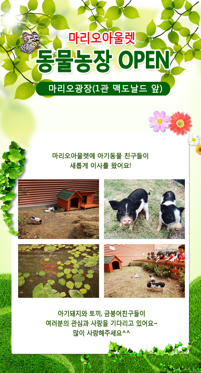 아기동물 전시관련