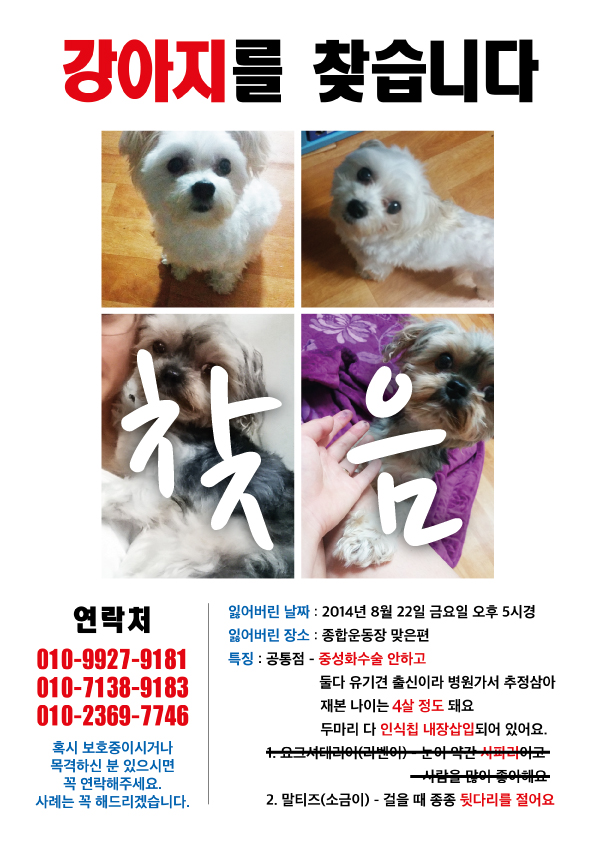 반려견을 얼마 전에 잃어버렸었습니다.