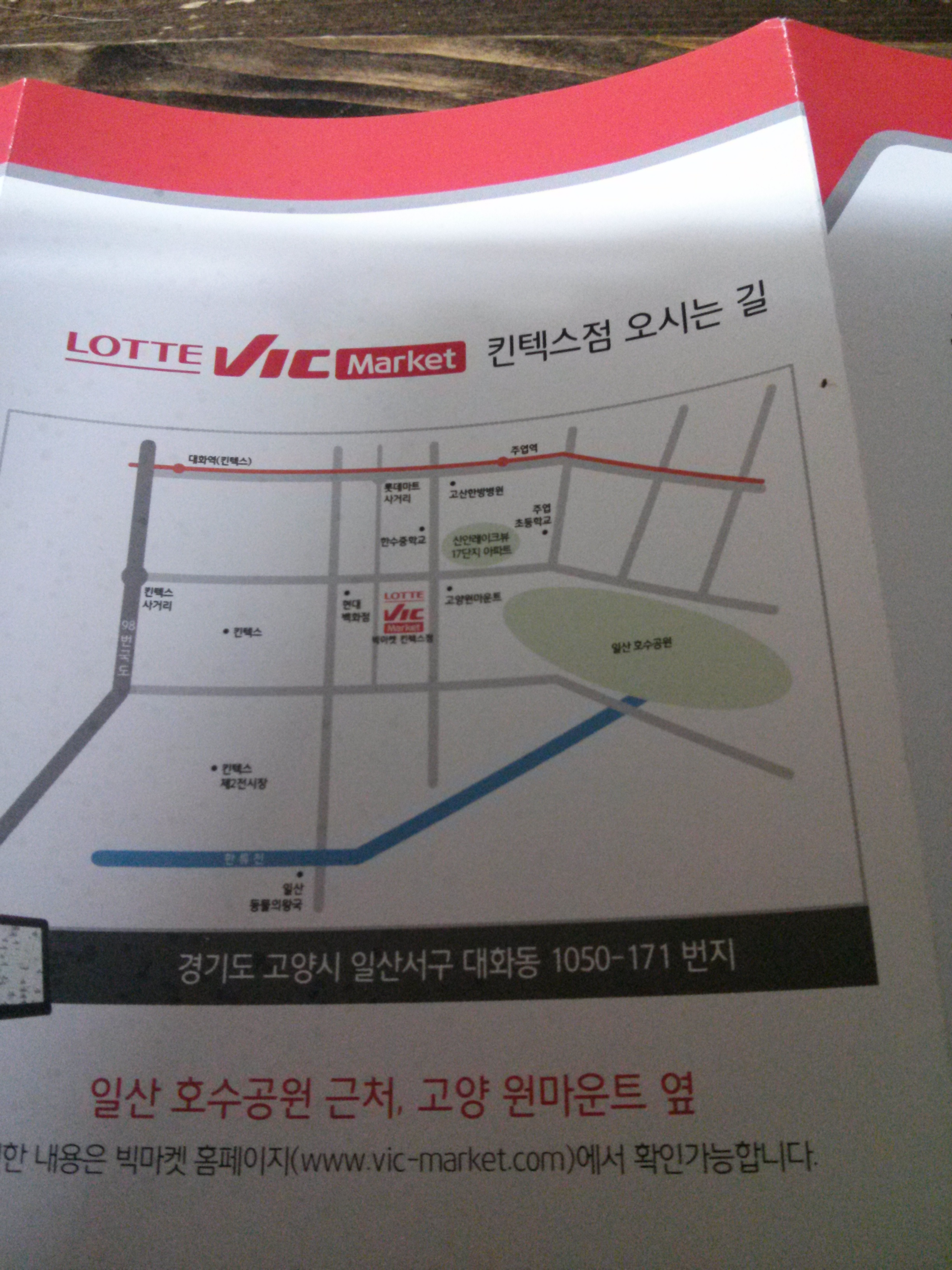 일산 킨텍스 롯데 빅마켓 오픈 기념 동물체험