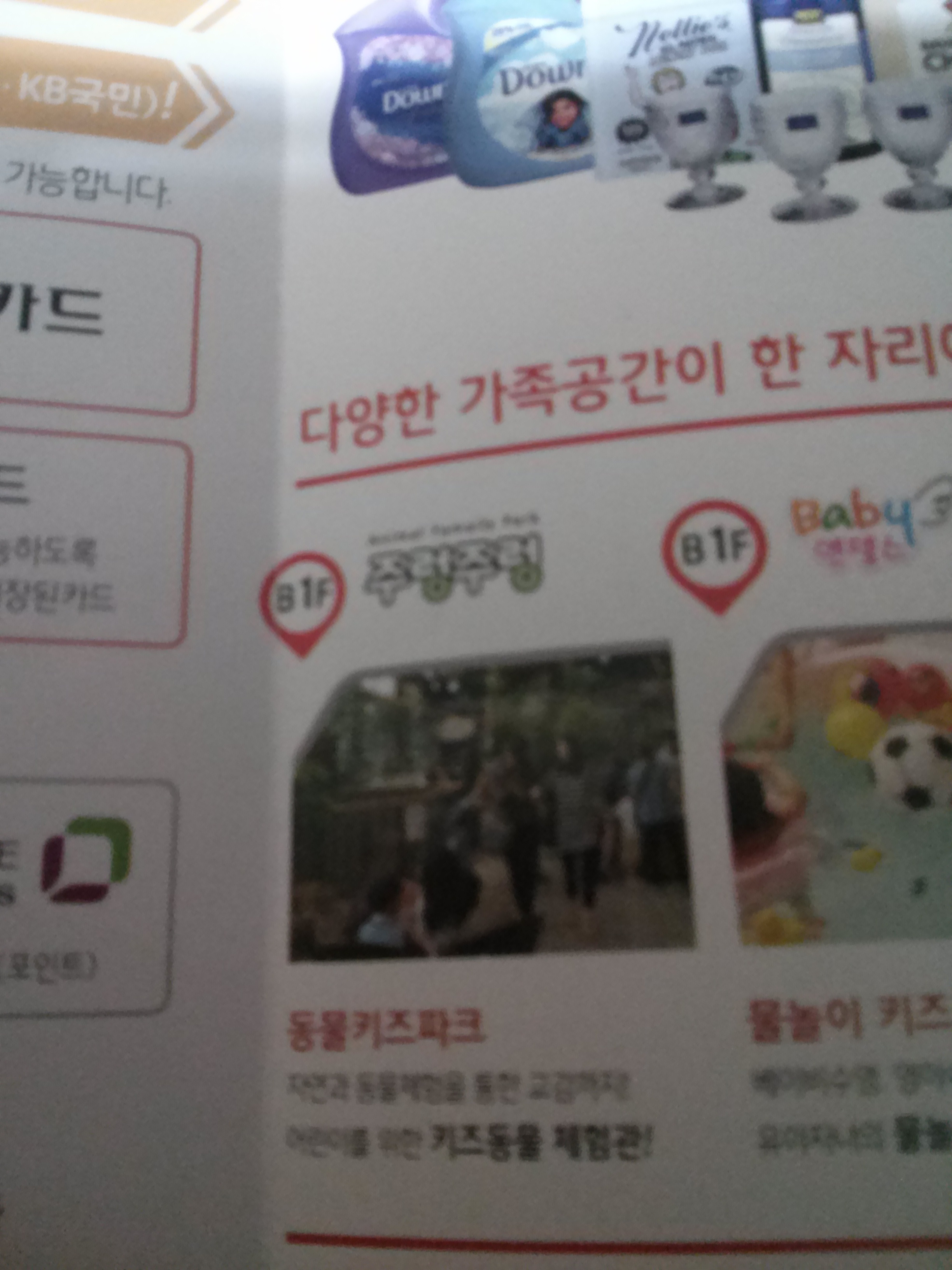 일산 킨텍스 롯데 빅마켓 오픈 기념 동물체험