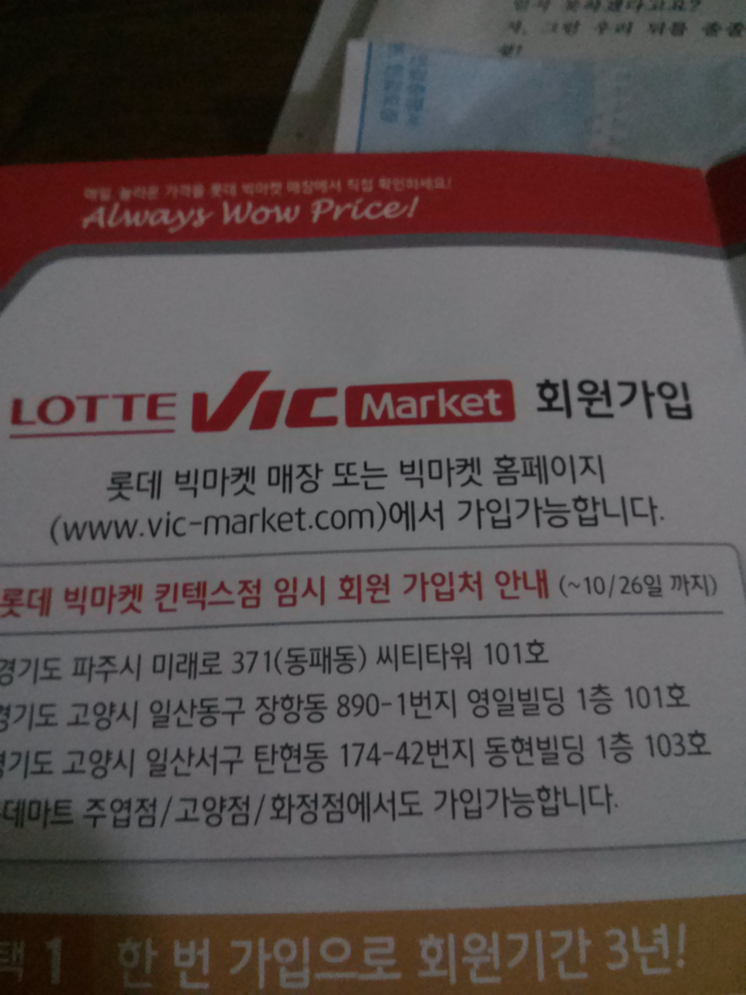 일산 킨텍스 롯데 빅마켓 오픈 기념 동물체험
