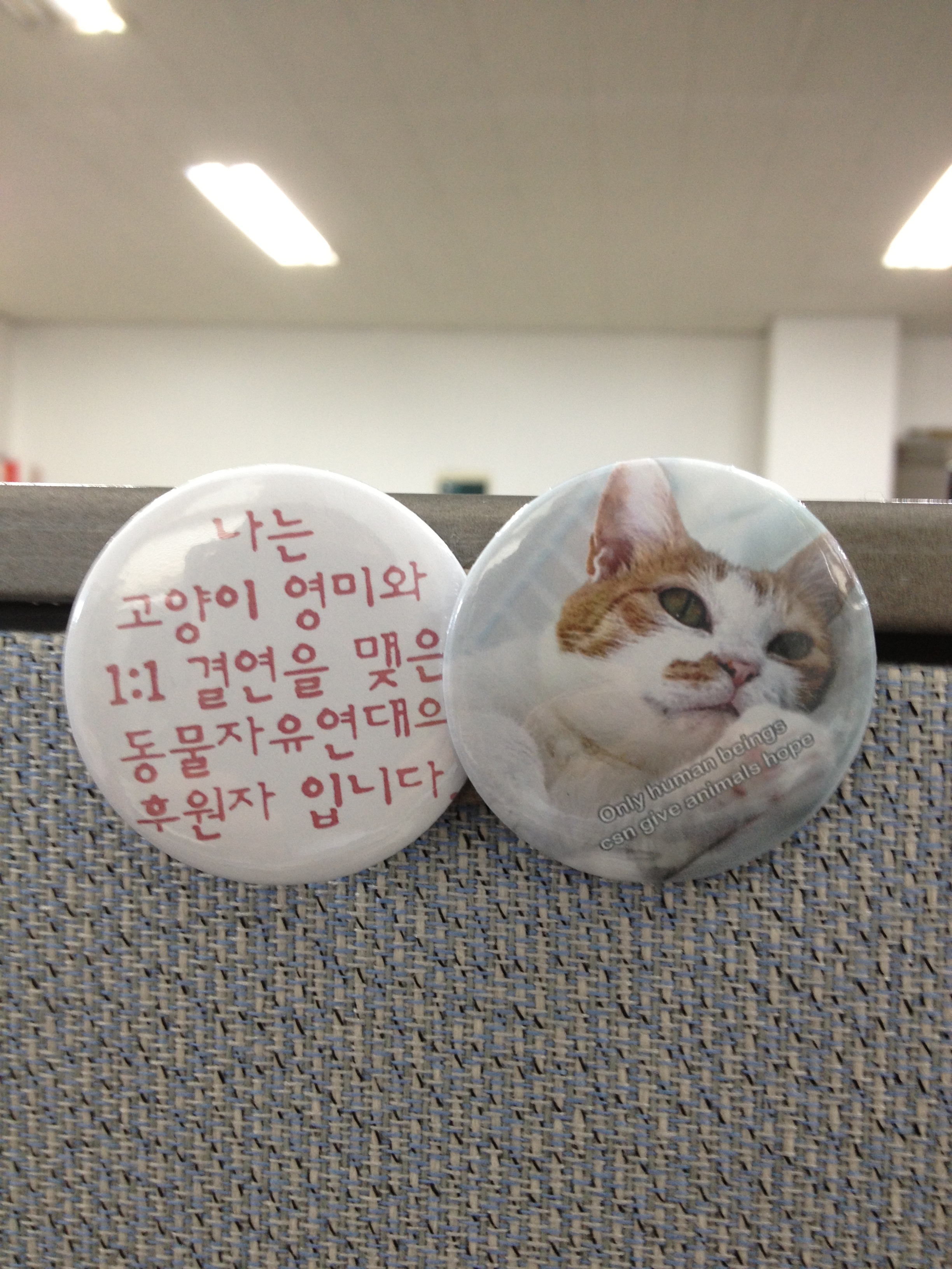 영미 사진첩 잘 받았습니다.
