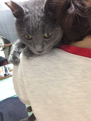 행복해진 그래 이야기