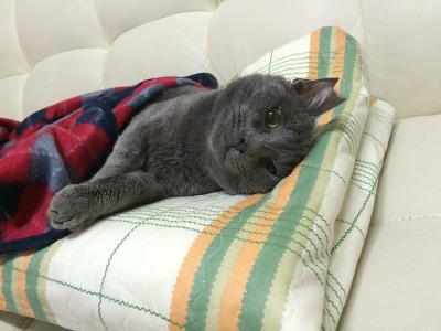 행복해진 그래 이야기