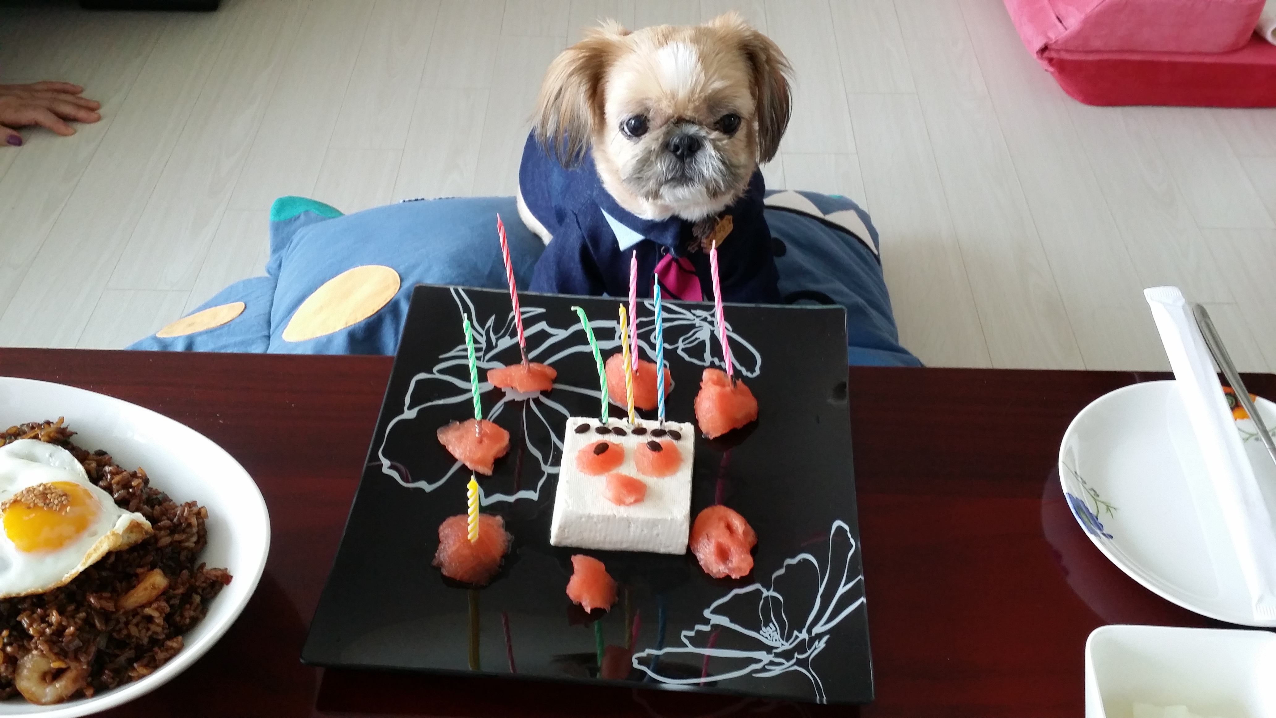 호동이의 8번째 생일을 축하해 주세요
