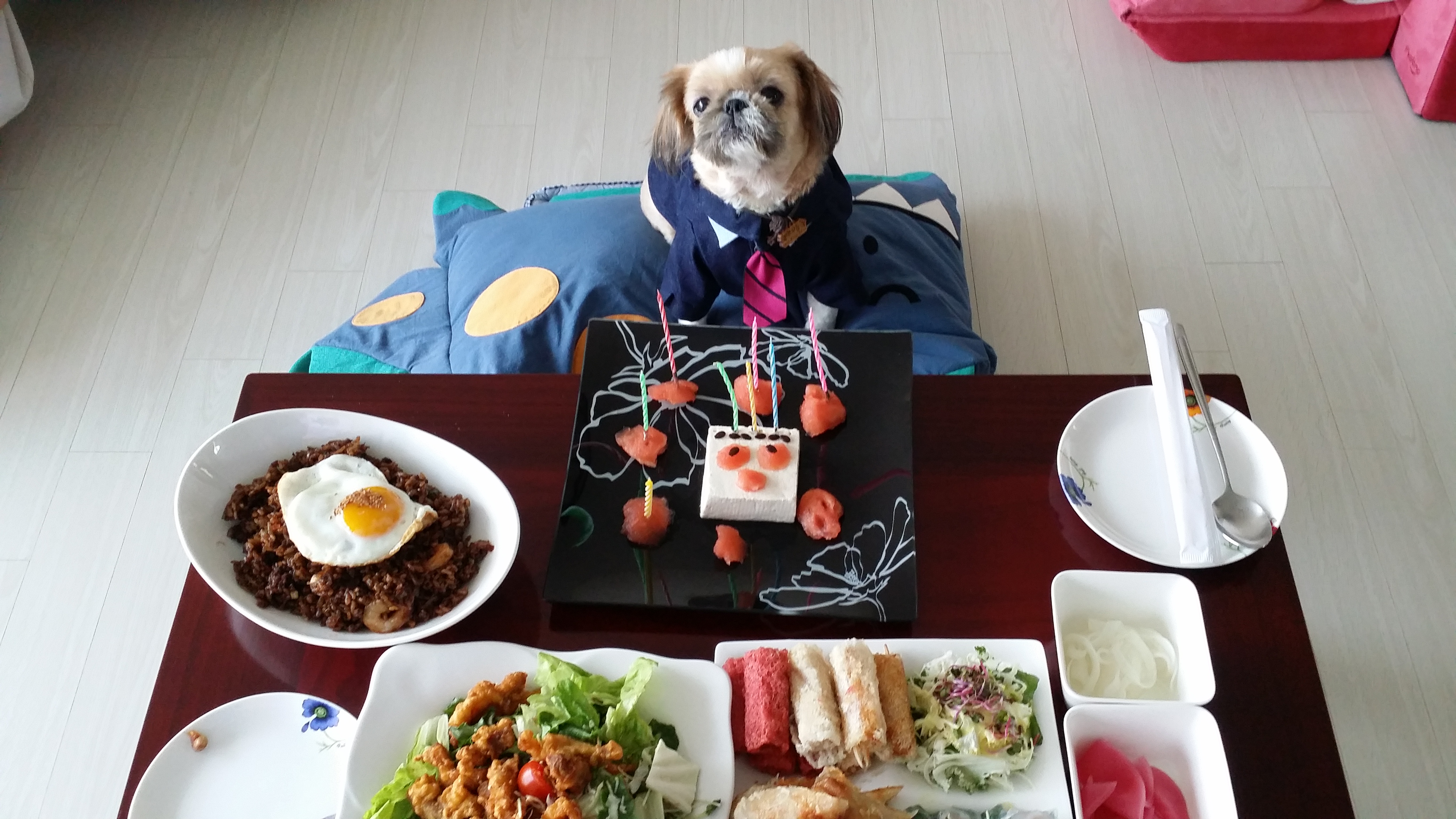호동이의 8번째 생일을 축하해 주세요