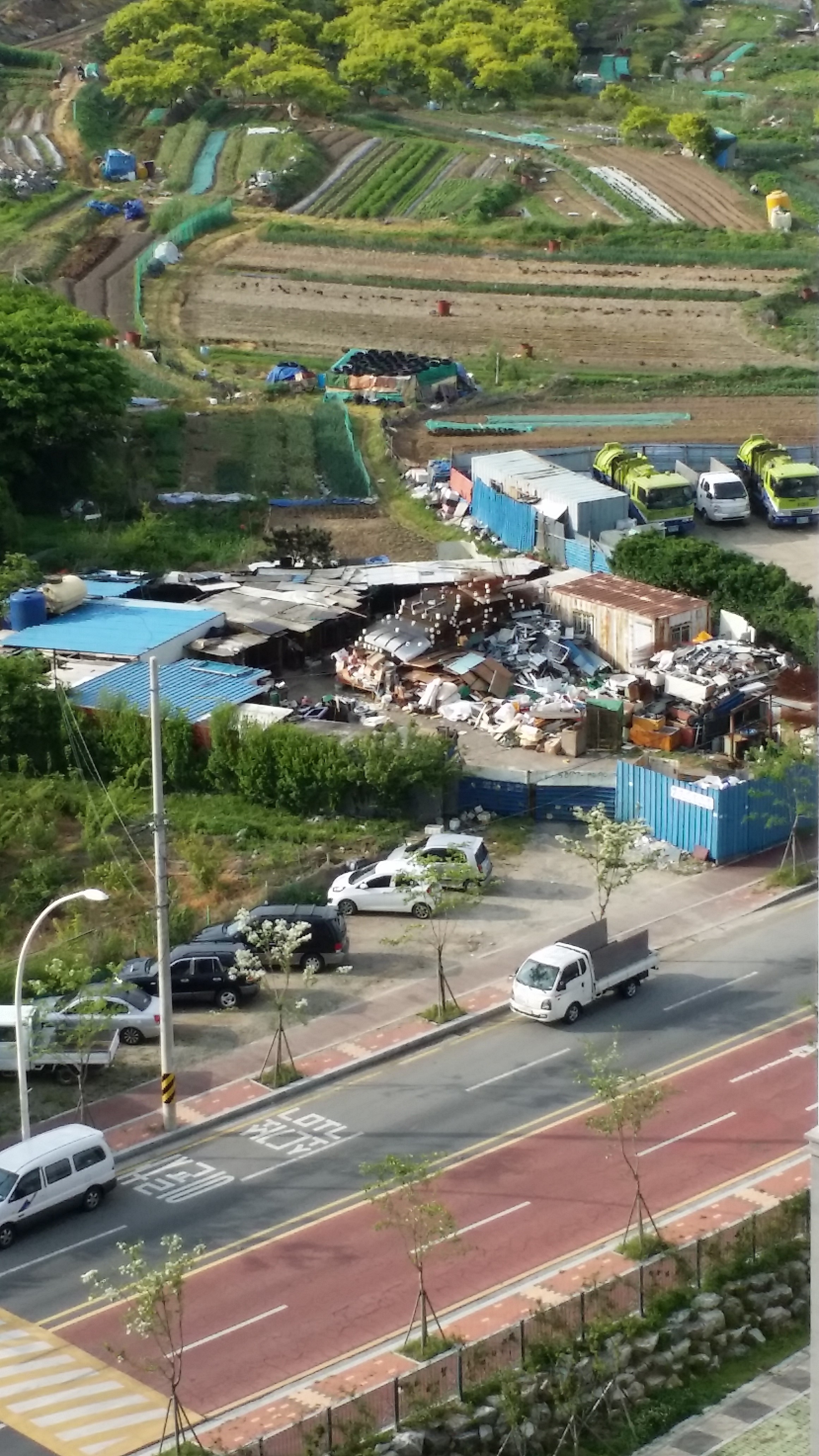 울산 동구 방어동 식용개 농장