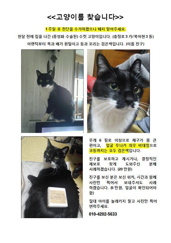 (서울) 충정로/북아현동 인근 회원님, 캣맘분들 이 전단 좀 봐주십시요