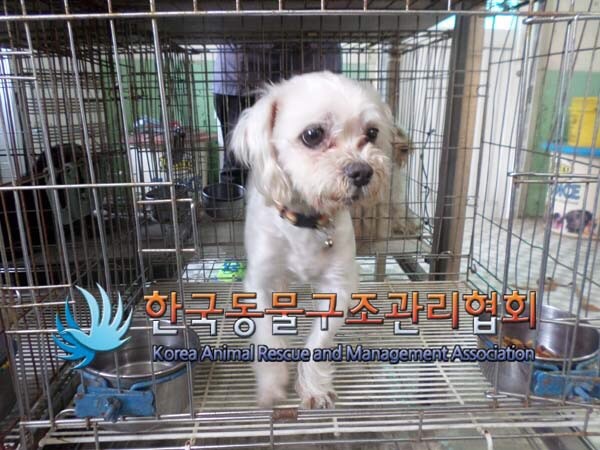 의정부시 중랑천산책로에서 만난 이아이의 엄마아빠를 찾습니다..