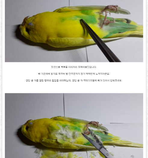 다소 섬뜩한 게시물을 보았습니다.