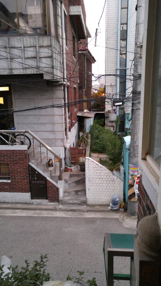 사진추가할께요.