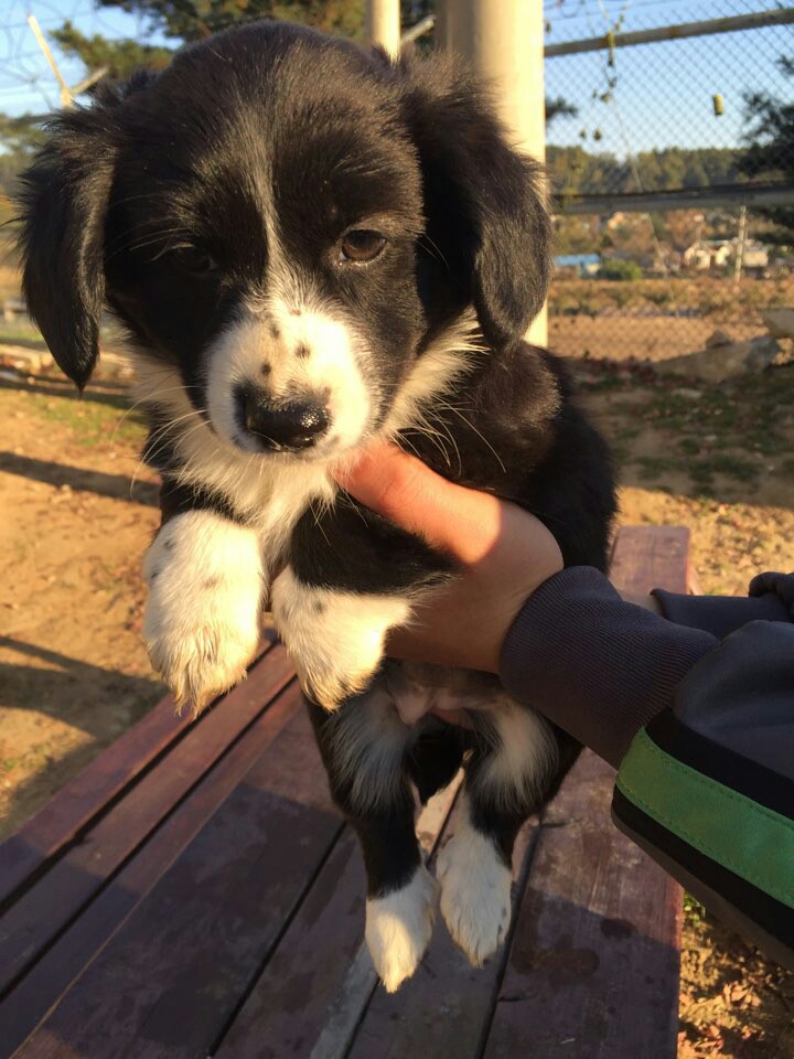 도와주세요