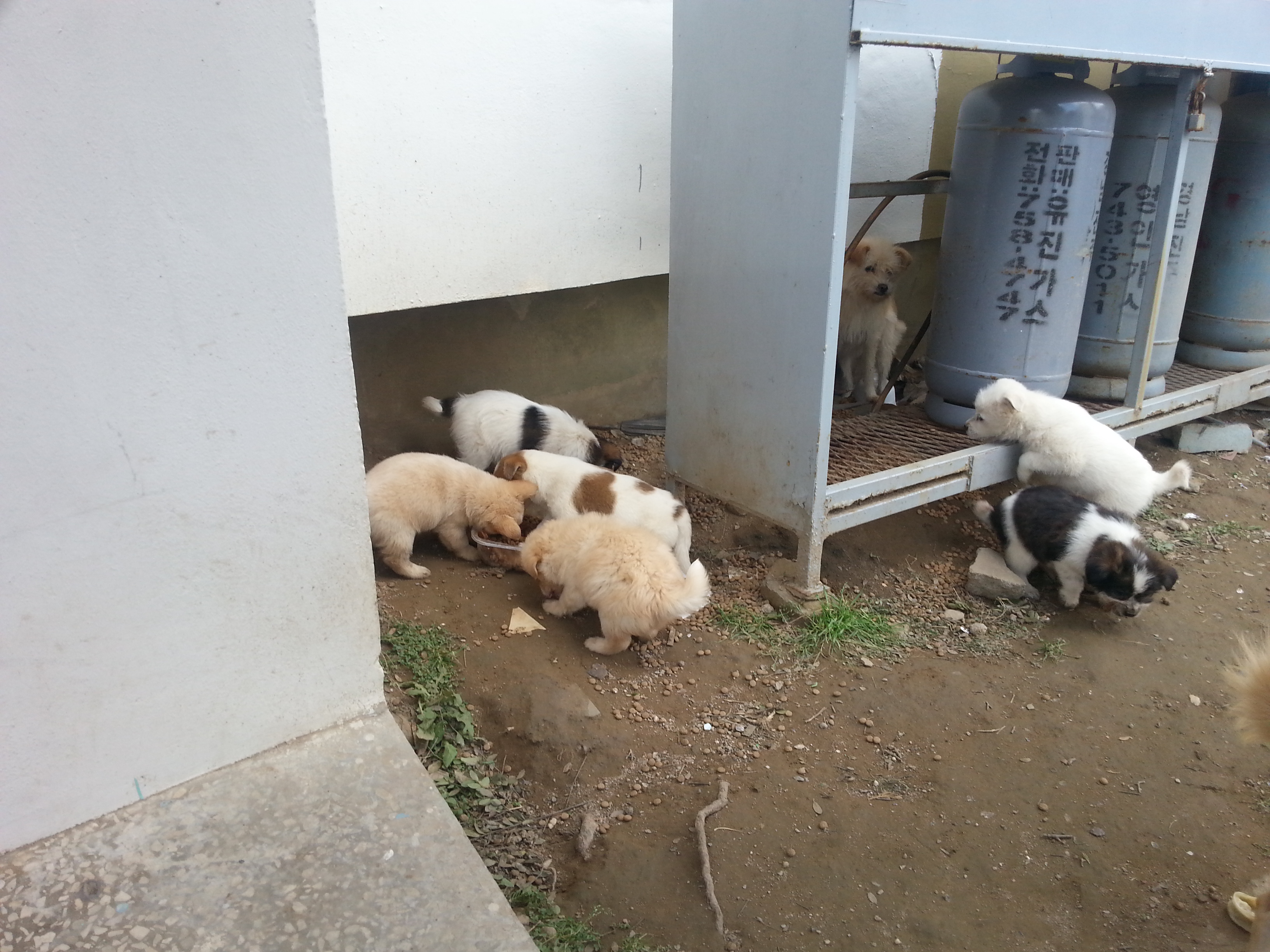 한시가 급해요.(사진)