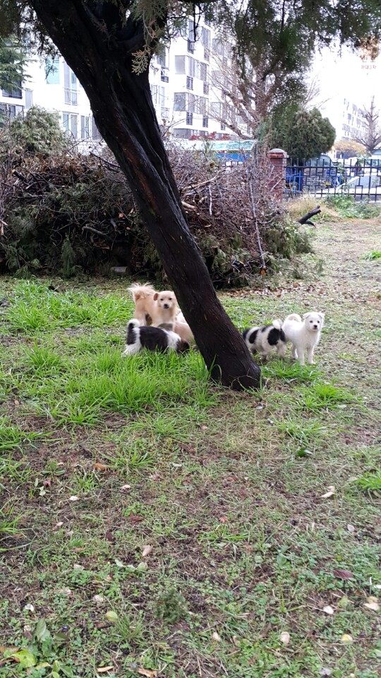 한시가 급해요.(사진)