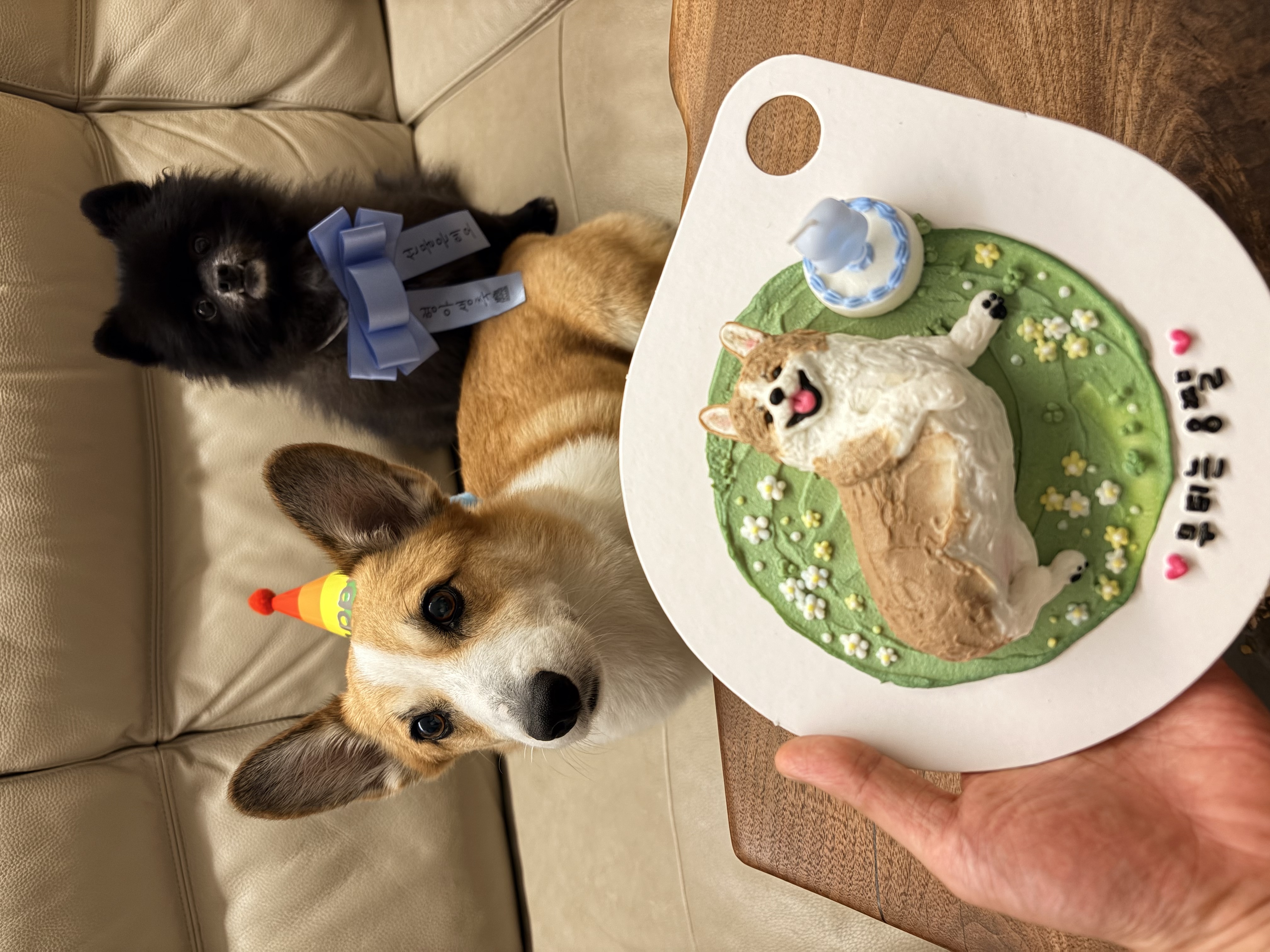 무티(구.수코) 2년차 근황