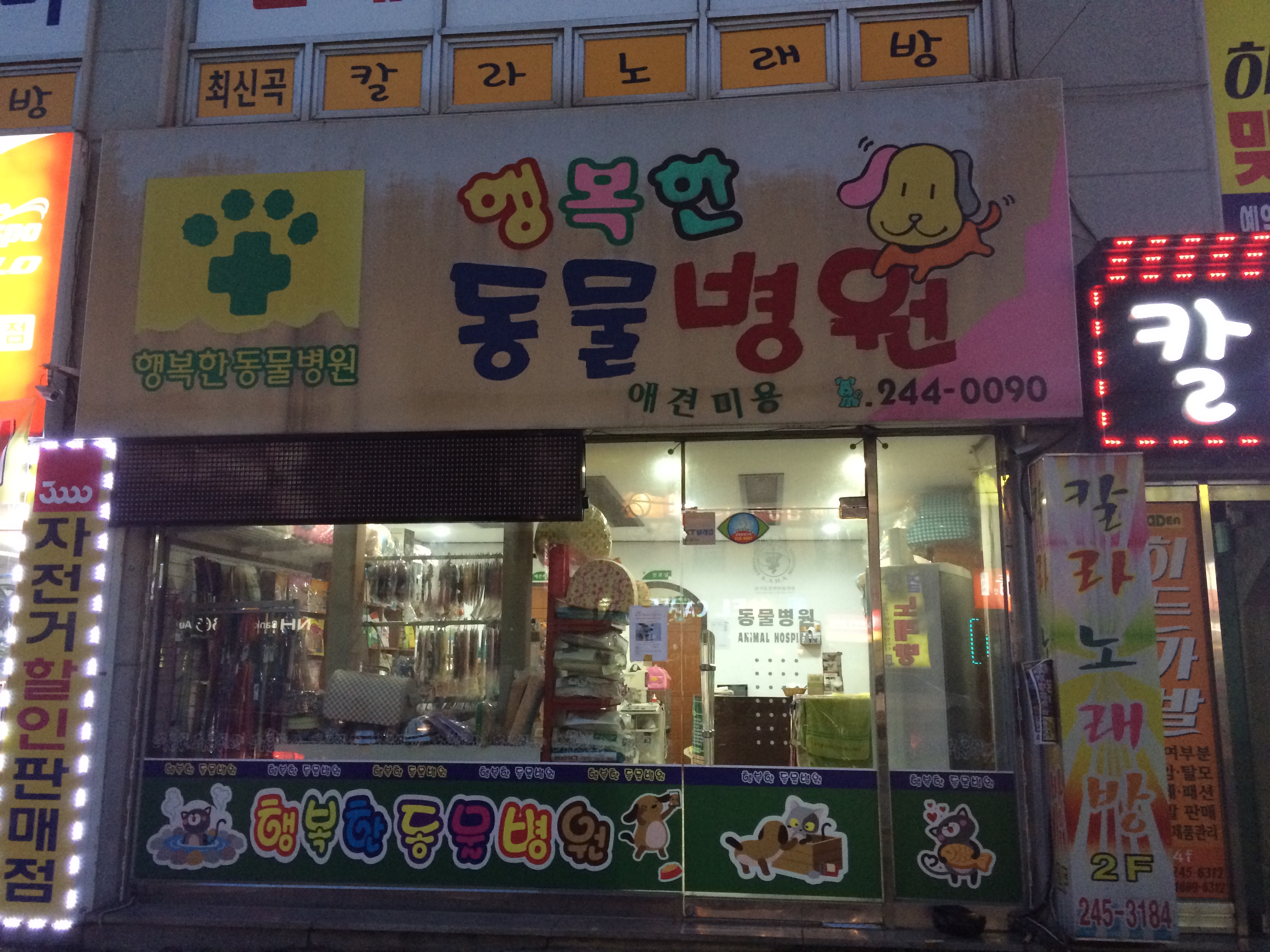 동물자유연대, 타 지역에 있는 유기견도 받아주시나요?