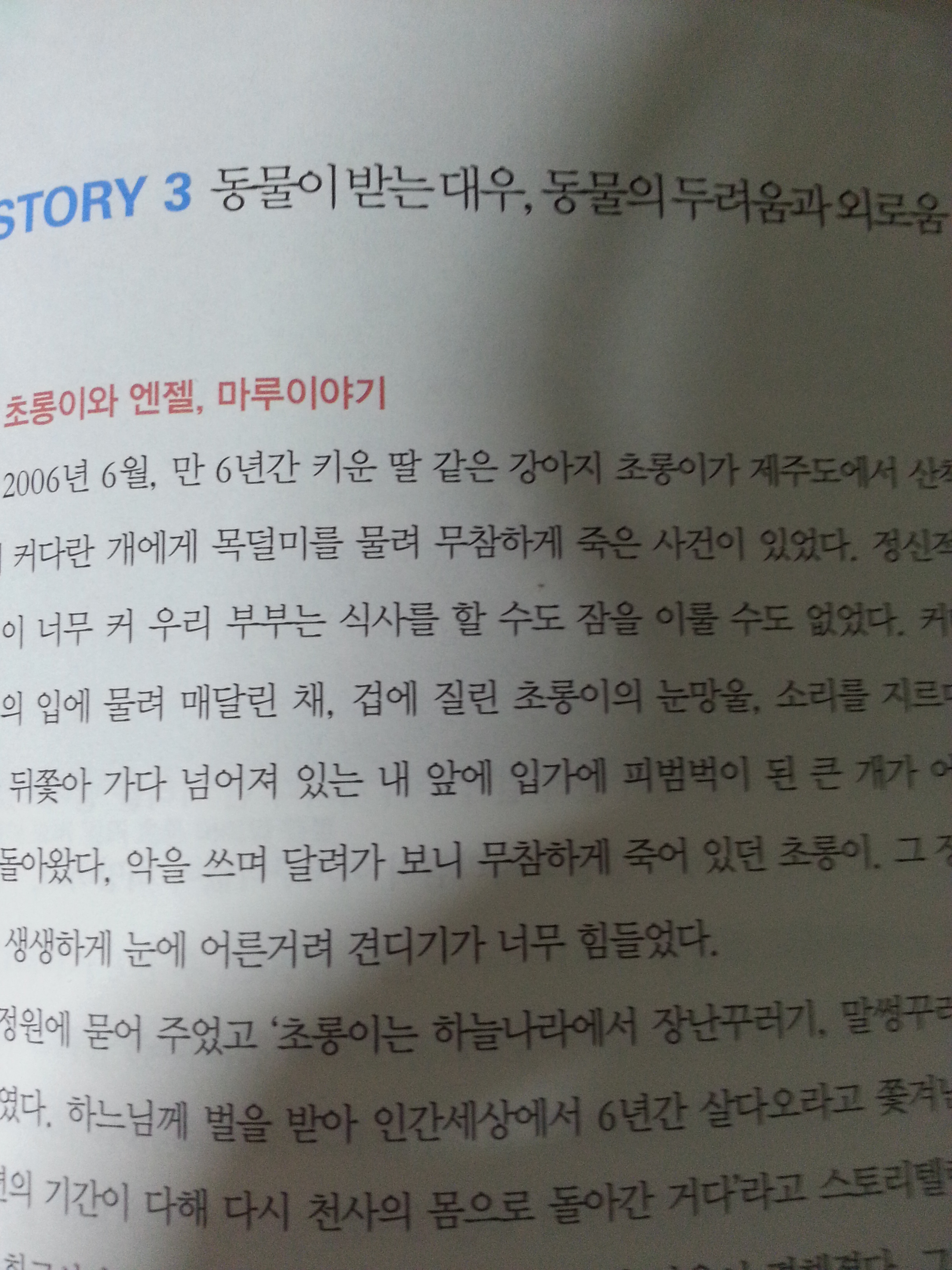 동물이 받는 대우, 동물의 두려움과 외로움