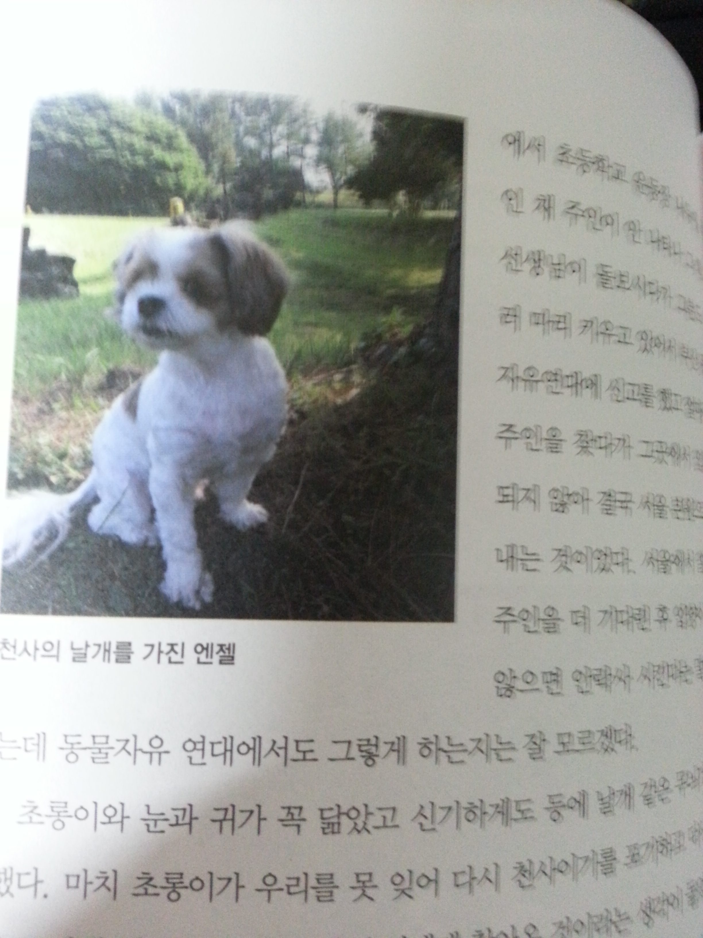 동물이 받는 대우, 동물의 두려움과 외로움