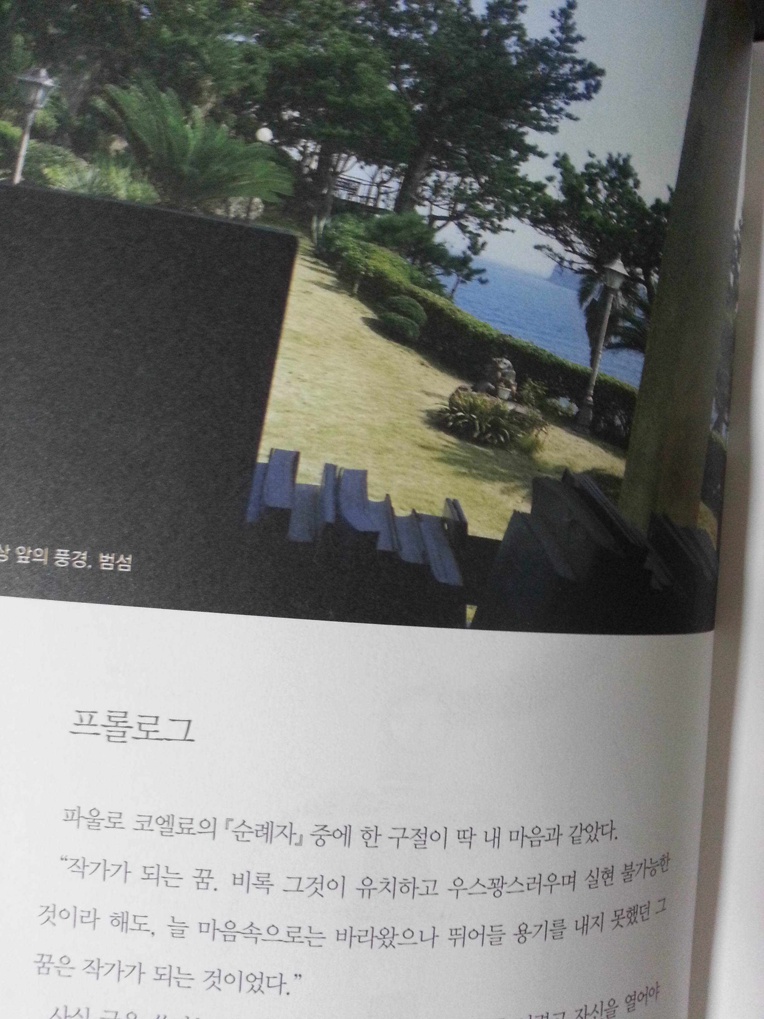 동물이 받는 대우, 동물의 두려움과 외로움