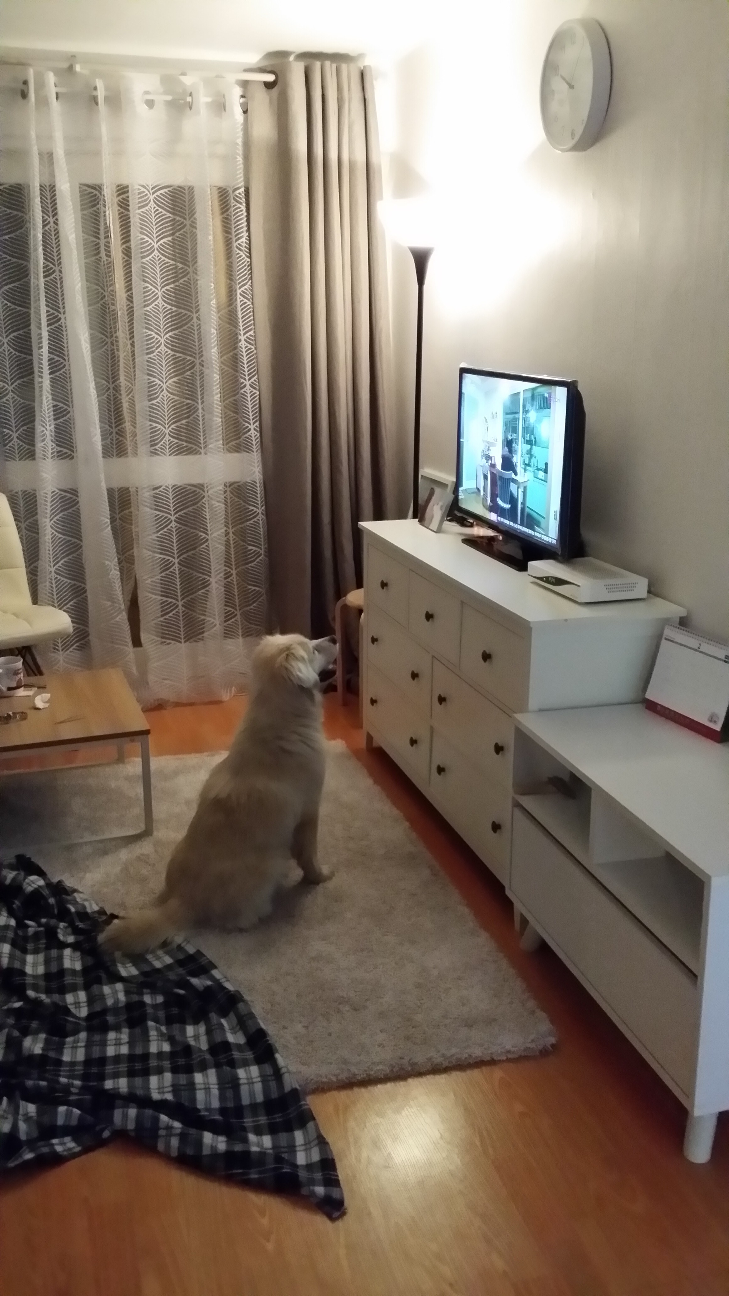 안녕하세요 임보자 입니다