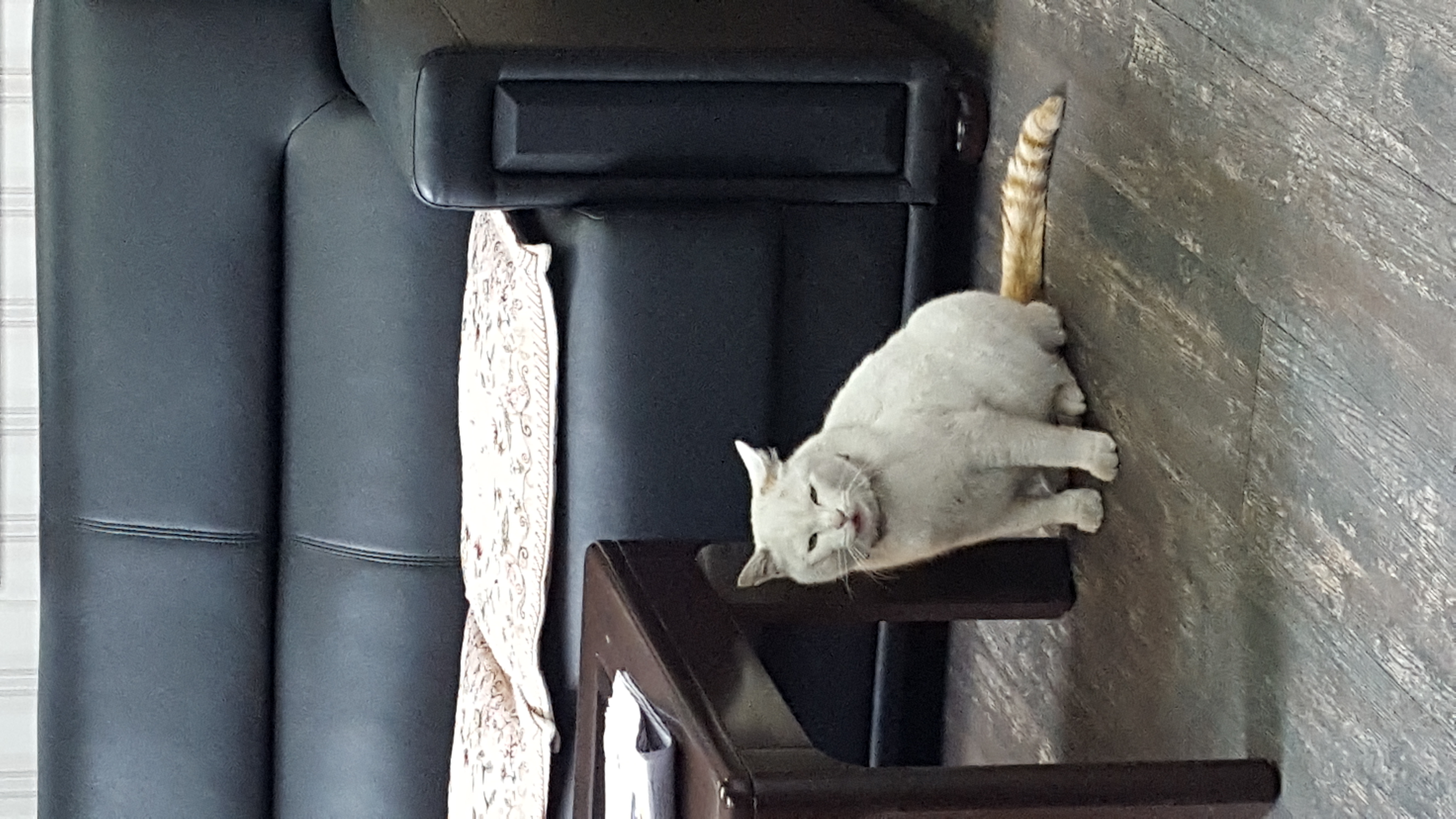 길량이 질문드립니다.