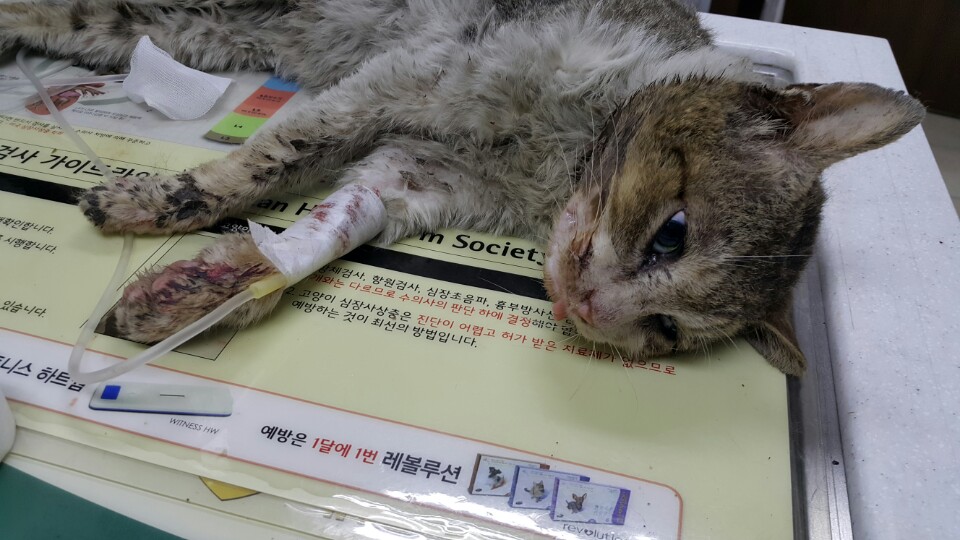 추가 질문 드려요~