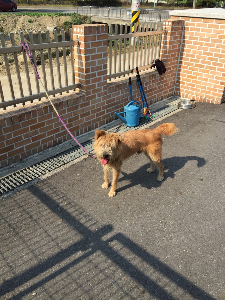 도움을 받을수 있을까요...?