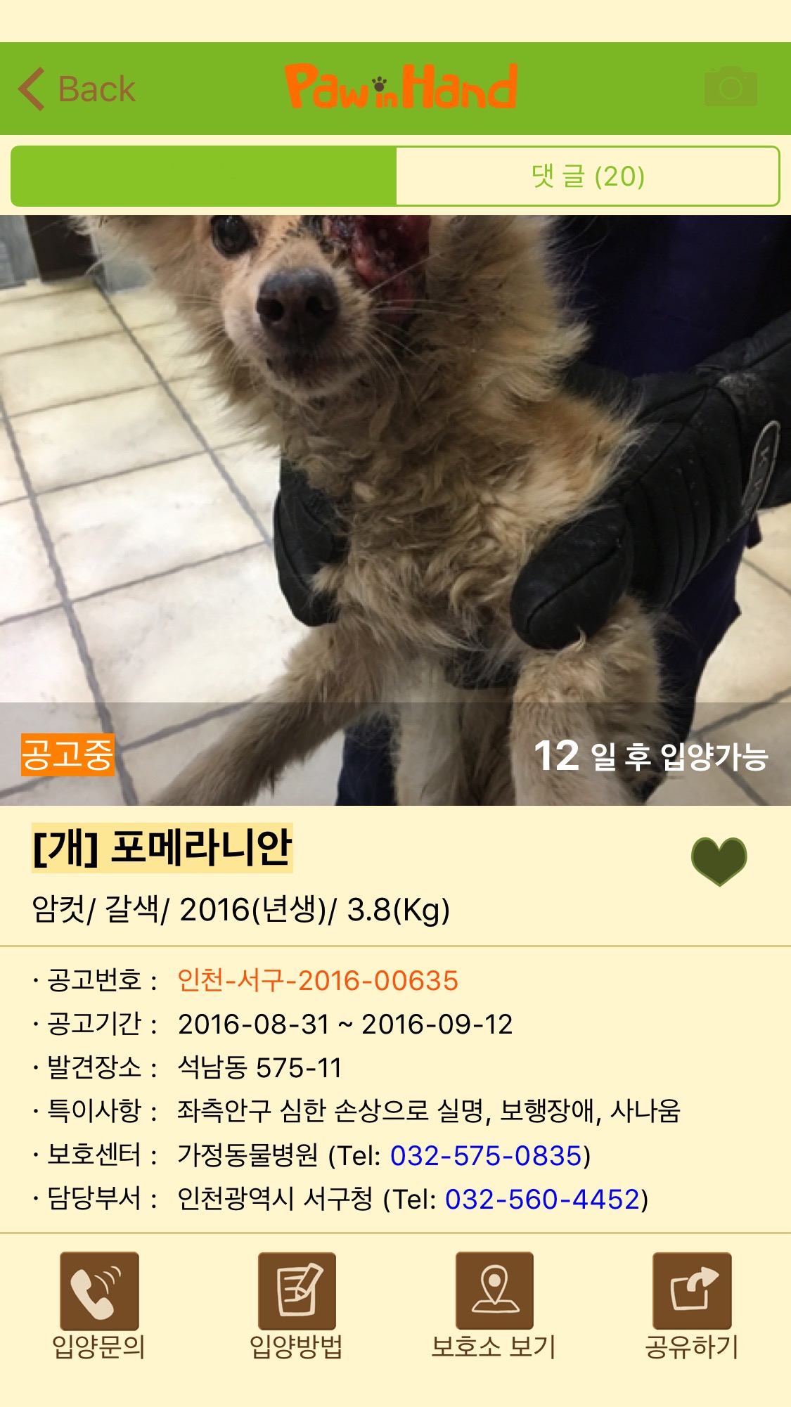 이 강아지 도움받을방법 없나요