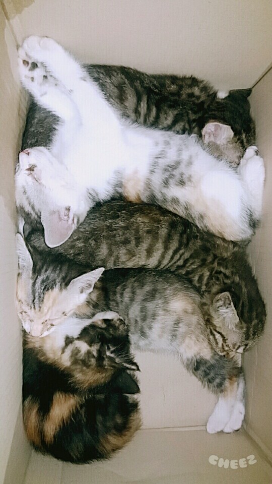 문의드리며 도움 요청드립니다.