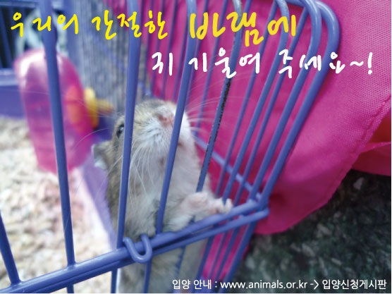 작은 천사들의 큰 천사님이 되어 주세요~! 