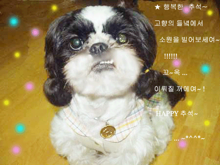 메리 해피 추석~*^^*