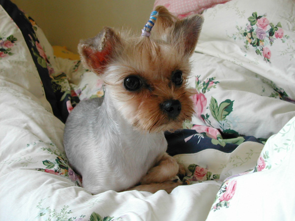 보배... 추워용~