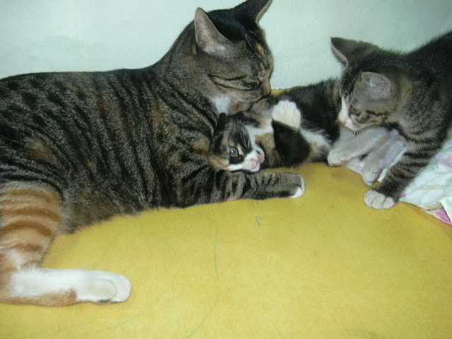 날라와 듀피입니다..