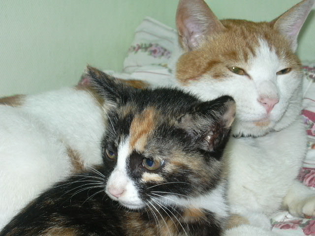 날라와 듀피입니다..