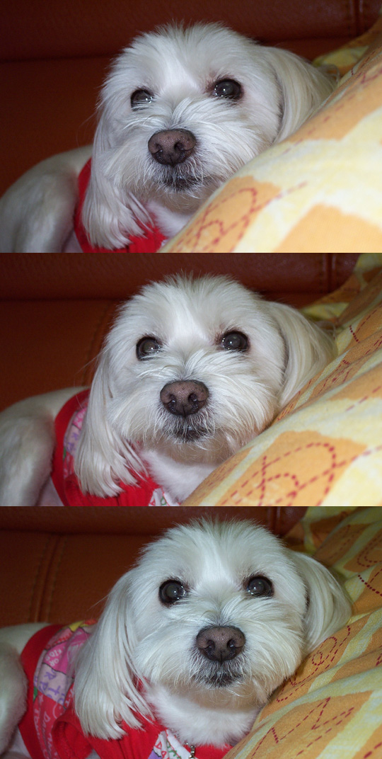 각도를 바꿔가며 찍어봤습니다.