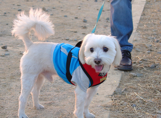 하늘공원에서_11