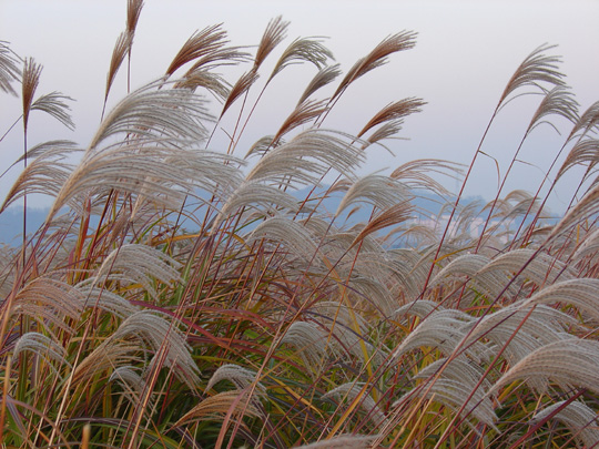 하늘공원에서_9